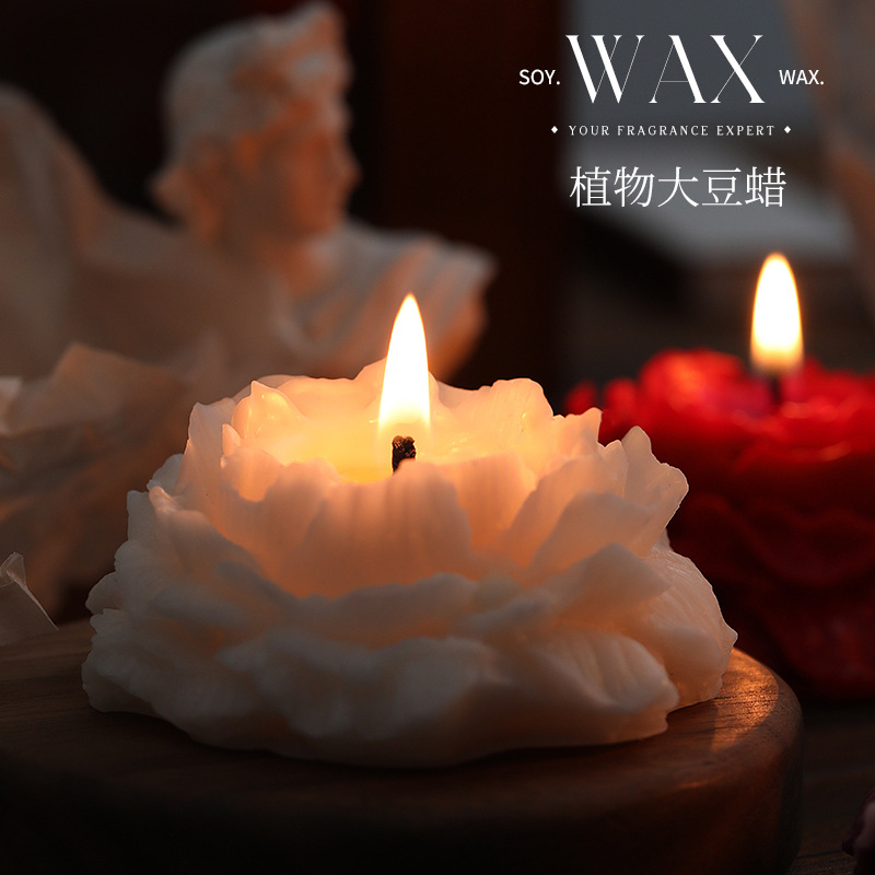 Camellia geurkaarsen eenvoudig - Soy Wax recensie en prijs