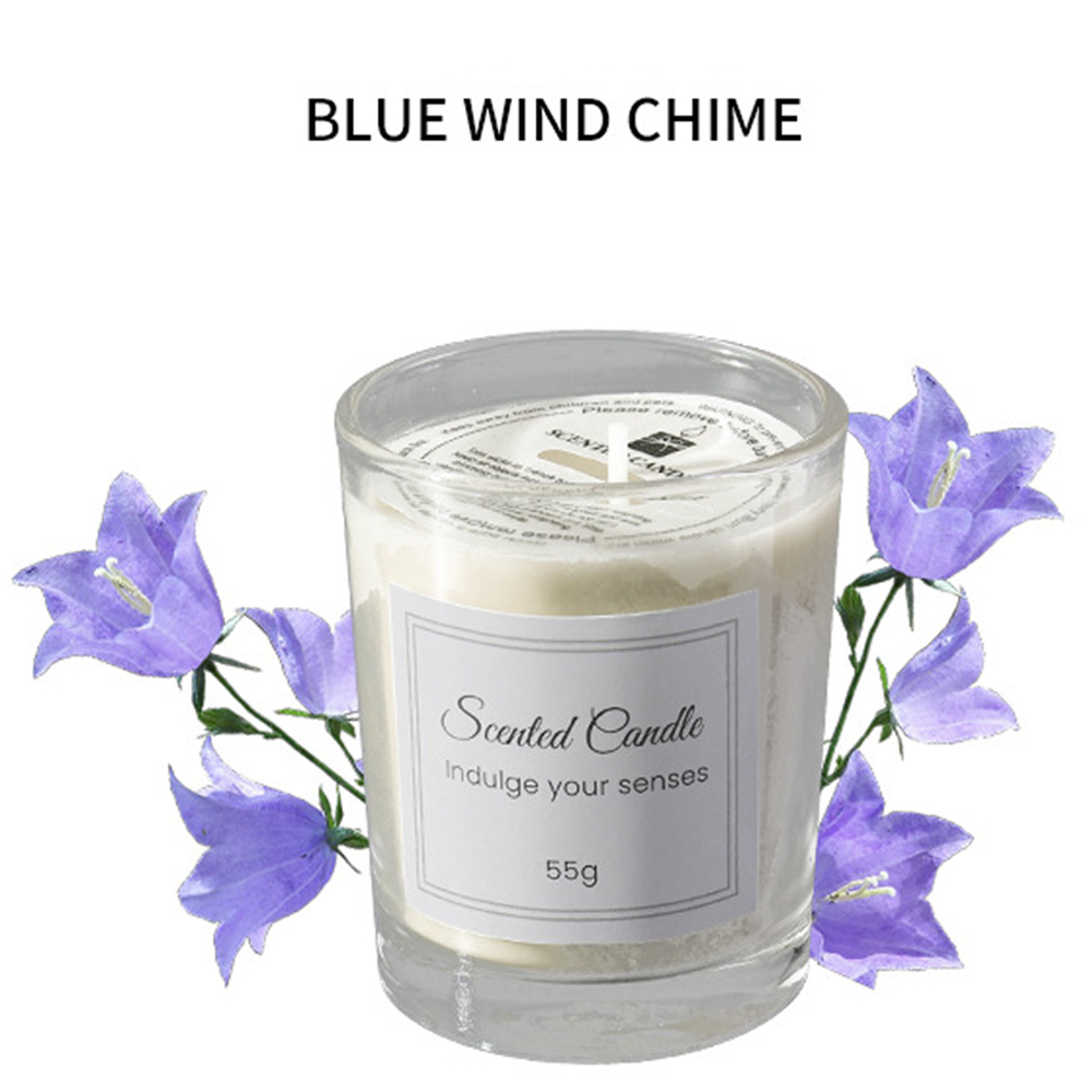 1 stuks premium aromatherapiek - Soy Wax recensie en prijs